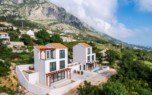 Fantastic full sea view villa near Budva 