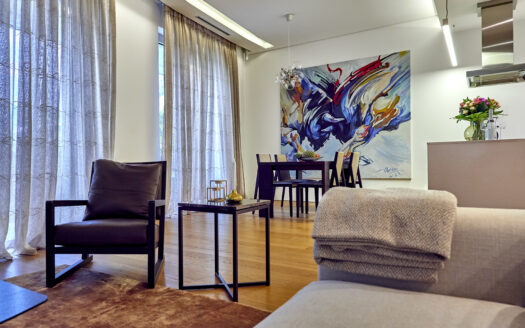 Luxurious one bedroom apartment