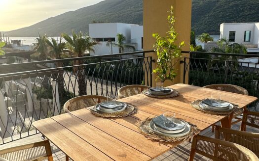 Three-Bedroom Apartment, Portonovi