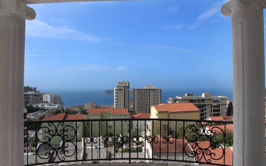 Villa in Montenegro with a sea view