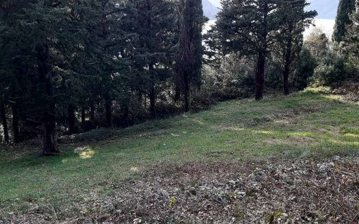 Construction Land in Dobrota, Kotor