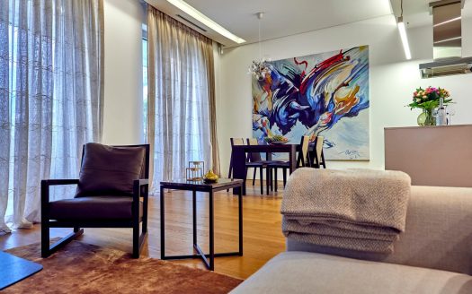 Luxurious one bedroom apartment