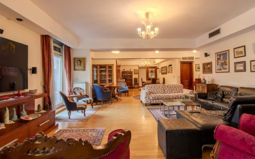 Refined apartment in Vračar