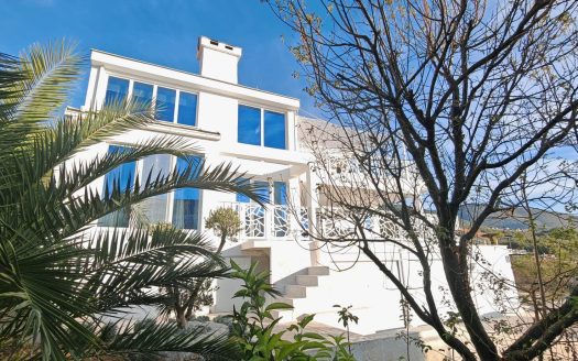 Beautiful Modern Villa with a pool in Đenovići