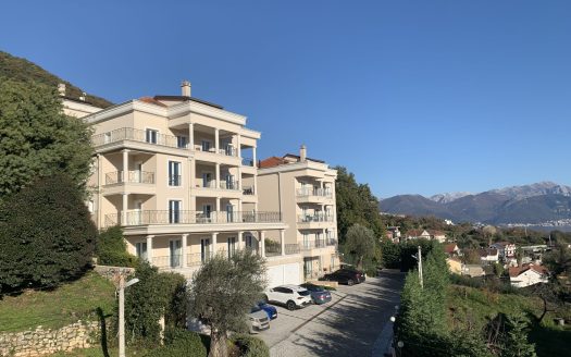 Luxury Apartment Complex near Portonovi Resort