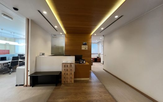 Business space on Mise Vujica Street in Palilula