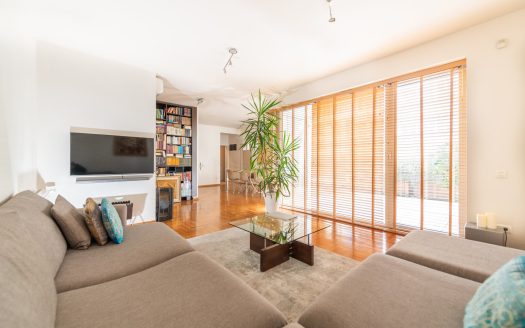 Family house – Slavujev venac