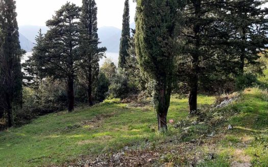 Construction Land in Dobrota, Kotor