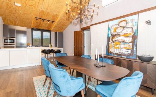 Luxury house in Kosmaj