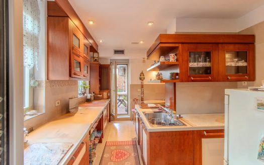 Refined apartment in Vračar