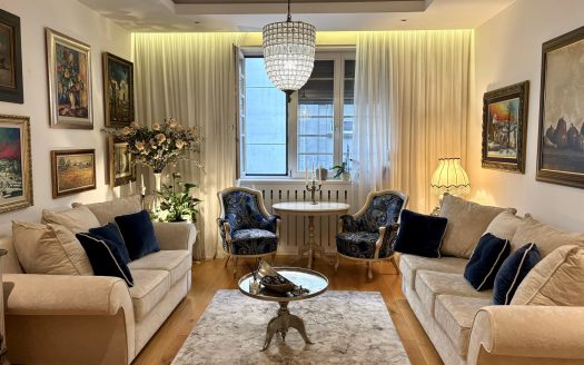 Salon apartment in Kosovska Street